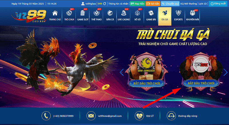 Cách tham gia đá gà WS168 tại nhà cái VZ99